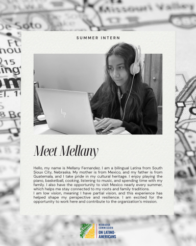 Mellany internship flyer